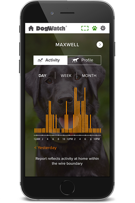dw-phone-activity-2-1x-3 DogWatch Hidden Fences of Arizona, Gilbert, Arizona | SmartFence WebApp Image