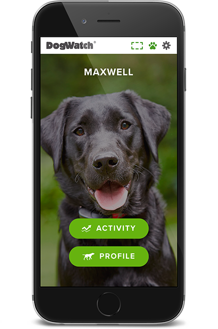 dw-phone-home-2-1x-2 DogWatch Hidden Fences of Arizona, Gilbert, Arizona | SmartFence WebApp Image