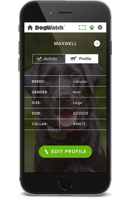 dw-phone-profile-2-1x-1 DogWatch Hidden Fences of Arizona, Gilbert, Arizona | SmartFence WebApp Image
