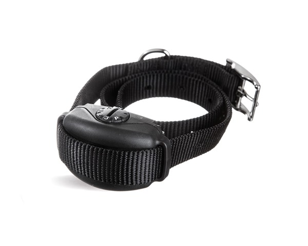 DogWatch Hidden Fences of Arizona, Gilbert, Arizona | SideWalker Leash Trainer Product Image